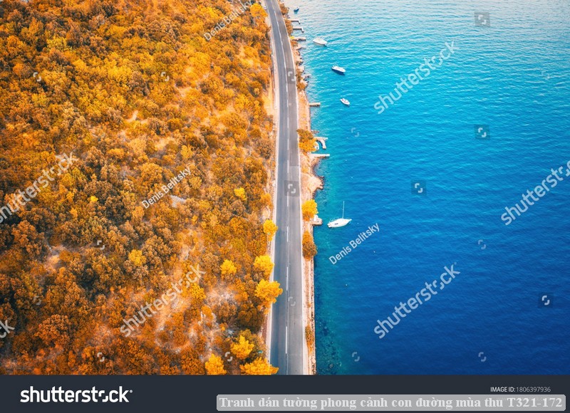 Tranh dán tường phong cảnh con đường mùa thu T321-172